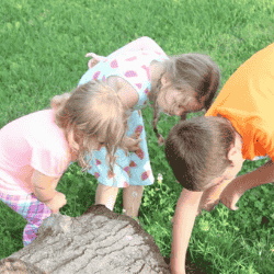 Following clues and completing movement tasks