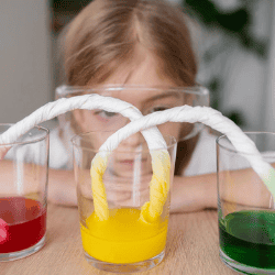 Observing a colorful reaction created by mixing household ingredients.